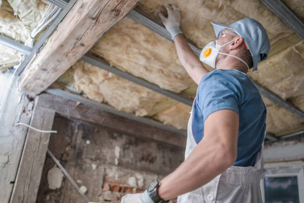 Best Insulation for Specific Applications in Wilder, KY