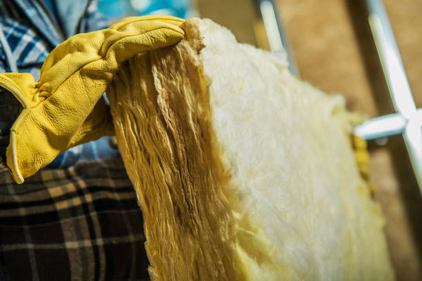 Best Insulation Maintenance and Repair in Wilder, KY